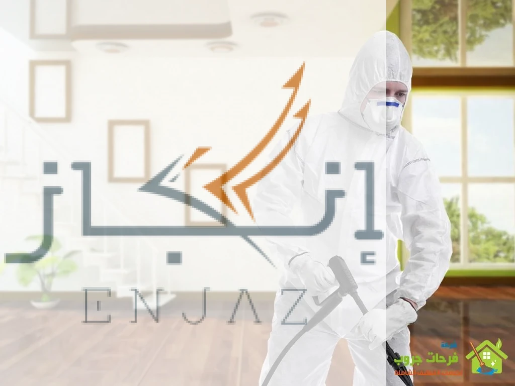 شركة مكافحة حشرات في مصر